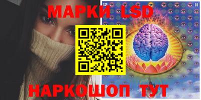 тгк Бийск