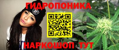 тгк Бийск
