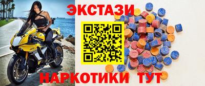 тгк Бийск
