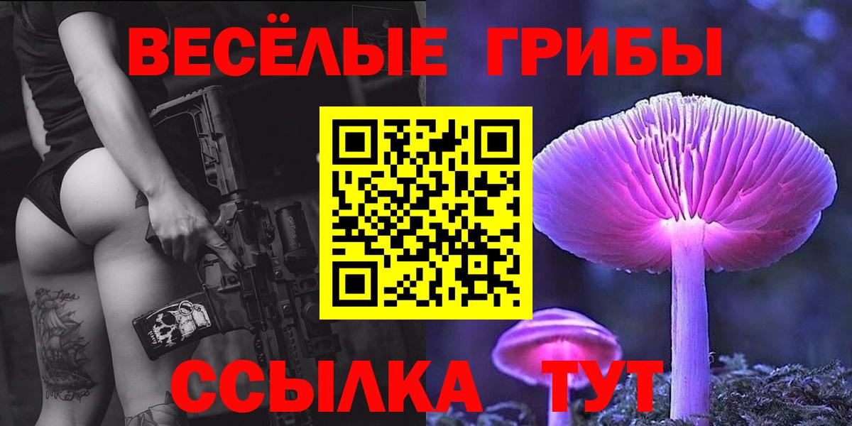 Галлюциногенные грибы Psilocybe  Вход с VPN  Ишим 